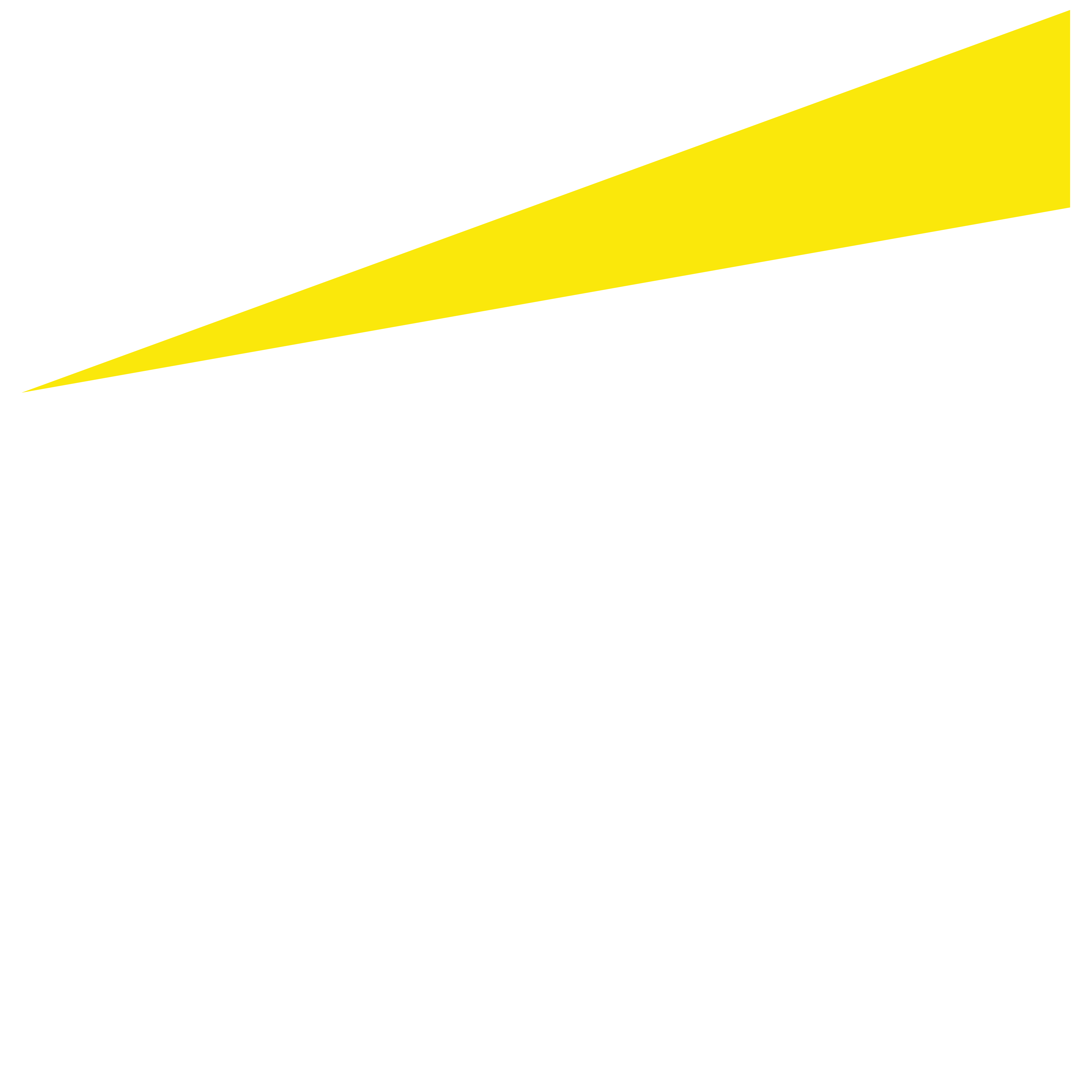 EY Store